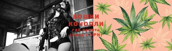 первитин Новозыбков