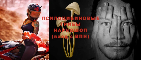 дмт Новодвинск