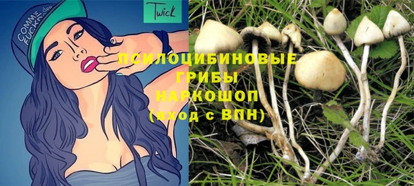 первитин Новозыбков