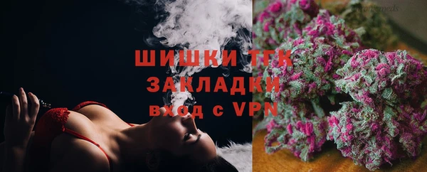 дмт Новодвинск