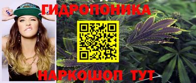 трава Кингисепп