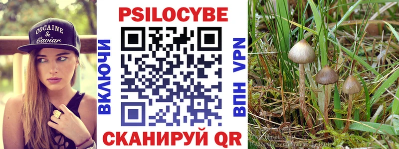 Галлюциногенные грибы мицелий  mega как зайти  Сочи 
