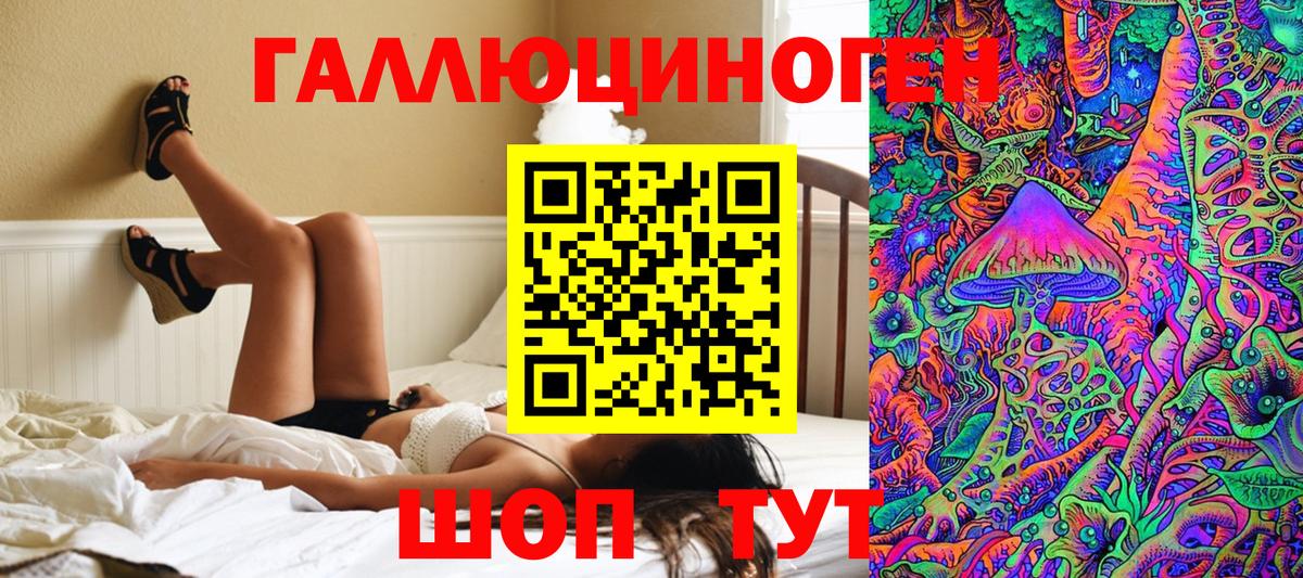 Галлюциногенные грибы Psilocybine cubensis Сочи